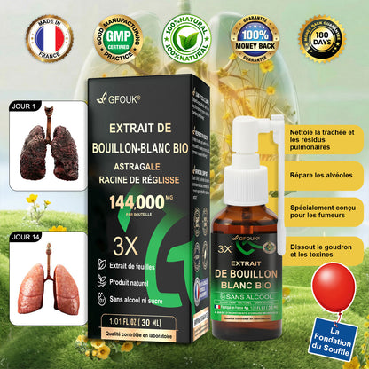 💥💖 GFOUK® Spray de Nettoyage Pulmonaire au Bouillon-blanc Concentré 3X — Pour la difficulté à expectorer, l'essoufflement, l'excès de mucus, la bronchite et les infections pulmonaires