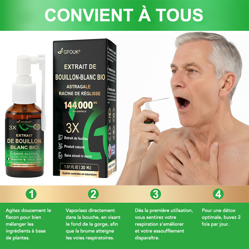 💥💖 GFOUK® Spray de Nettoyage Pulmonaire au Bouillon-blanc Concentré 3X — Pour la difficulté à expectorer, l'essoufflement, l'excès de mucus, la bronchite et les infections pulmonaires