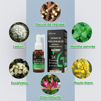 💥💖 GFOUK® Spray de Nettoyage Pulmonaire au Bouillon-blanc Concentré 3X — Pour la difficulté à expectorer, l'essoufflement, l'excès de mucus, la bronchite et les infections pulmonaires